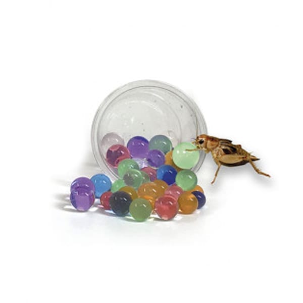 HabiStat H2O Balls Insect Hydration for sale at Shirley Aquatics