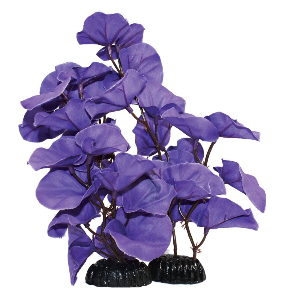 Blue Lily Silk Plant