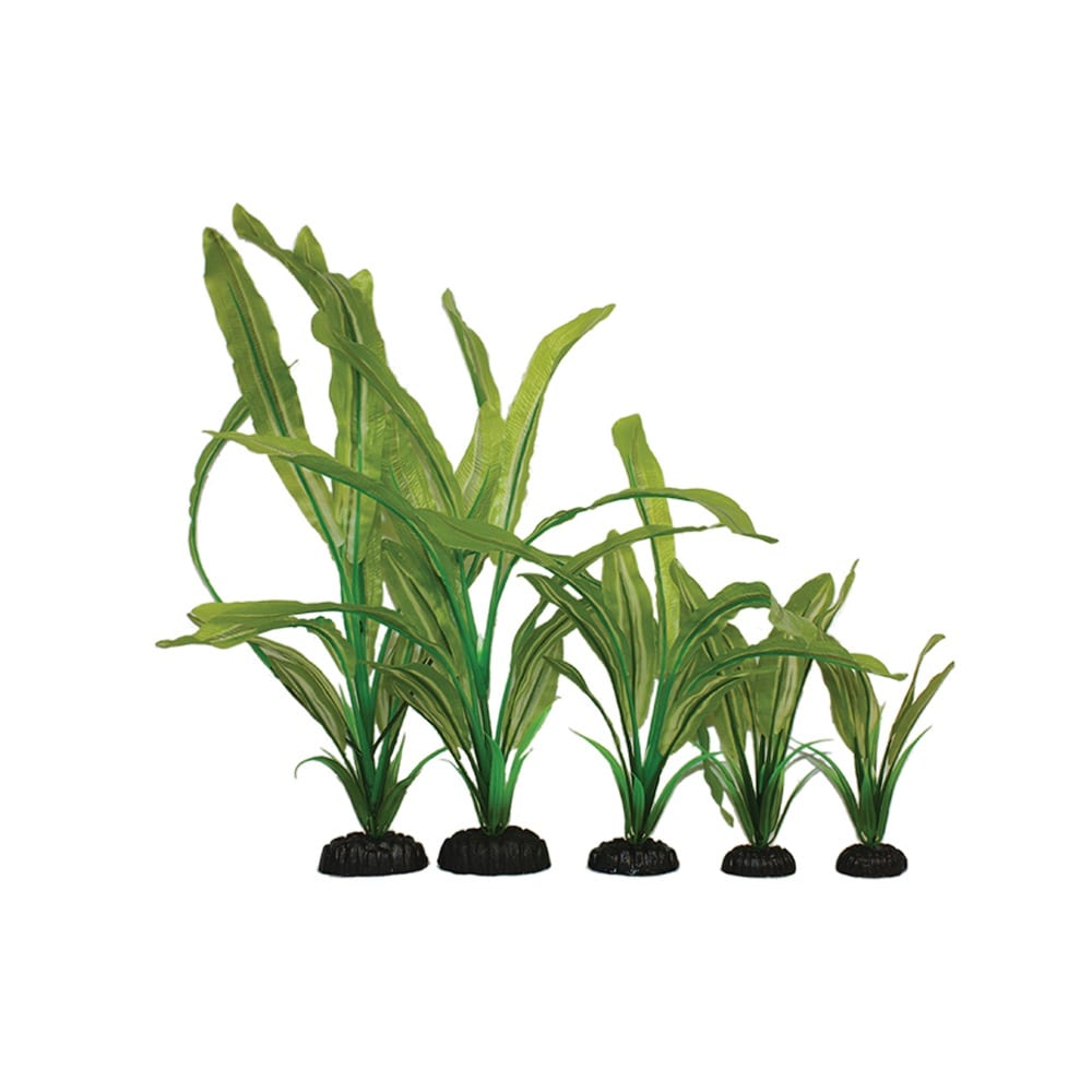 Long Leaf Plastic Plant