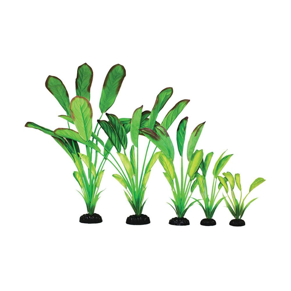 Cryptocorne Green Aquarium Silk Plant