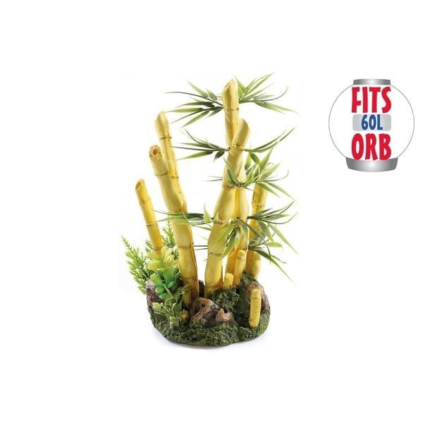 Bamboo with Plants