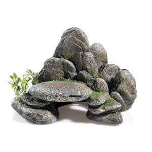 Rocky Ledge
