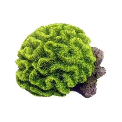 Green Coral with Airstone 175mm