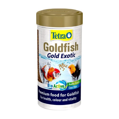 Tetra Goldfish Gold - Exotic