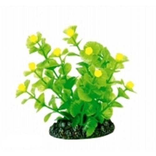 8cm Small Bacopa Aquarium Decoration