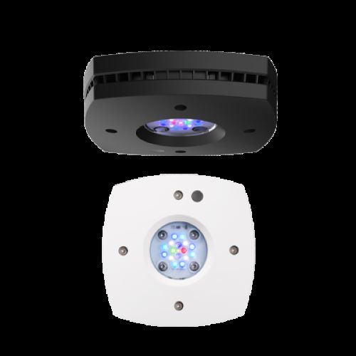 AI Prime HD LED Light White