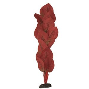 Ozelot Red Silk Plant