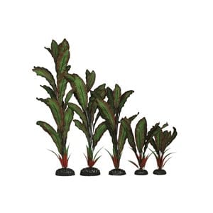 Green / Red Silk Plant