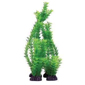 Green Hornwort Artificial Plant