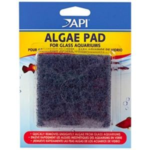Algae Pad for Glass