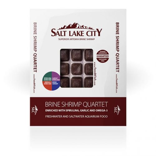 bcuk brineshrimp quartet blister pack 100g frozen food