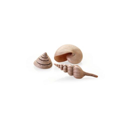 biorb natural seashells ornaments