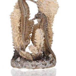 oase biorb aquarium seahorses on coral natural colour