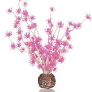 biOrb Bonsai Ball Pink