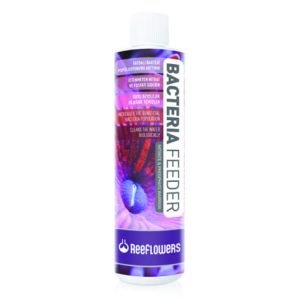 ReeFlowers Bacteria Feeder
