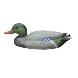 Bermuda male Duck Pond Decoration