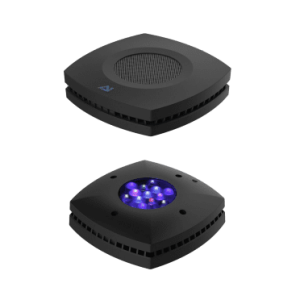 AI Prime HD LED Light Black
