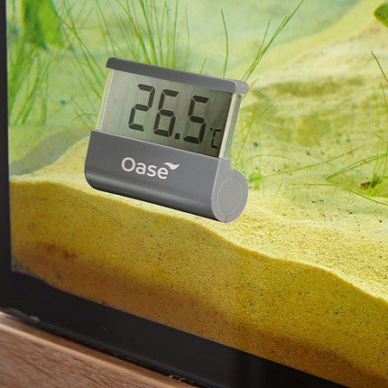 Digital Thermometer