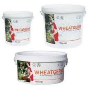 Evolution Aqua Wheatgerm Koi Food