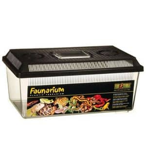 Exo Terra Flat Faunarium Medium