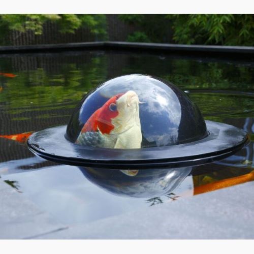Floating Fish Dome 50cm