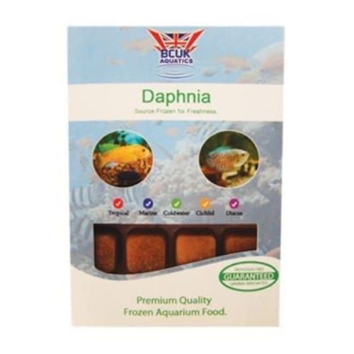 Frozen Daphnia pack 100g