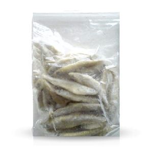 Frozen Whole Fish 100g