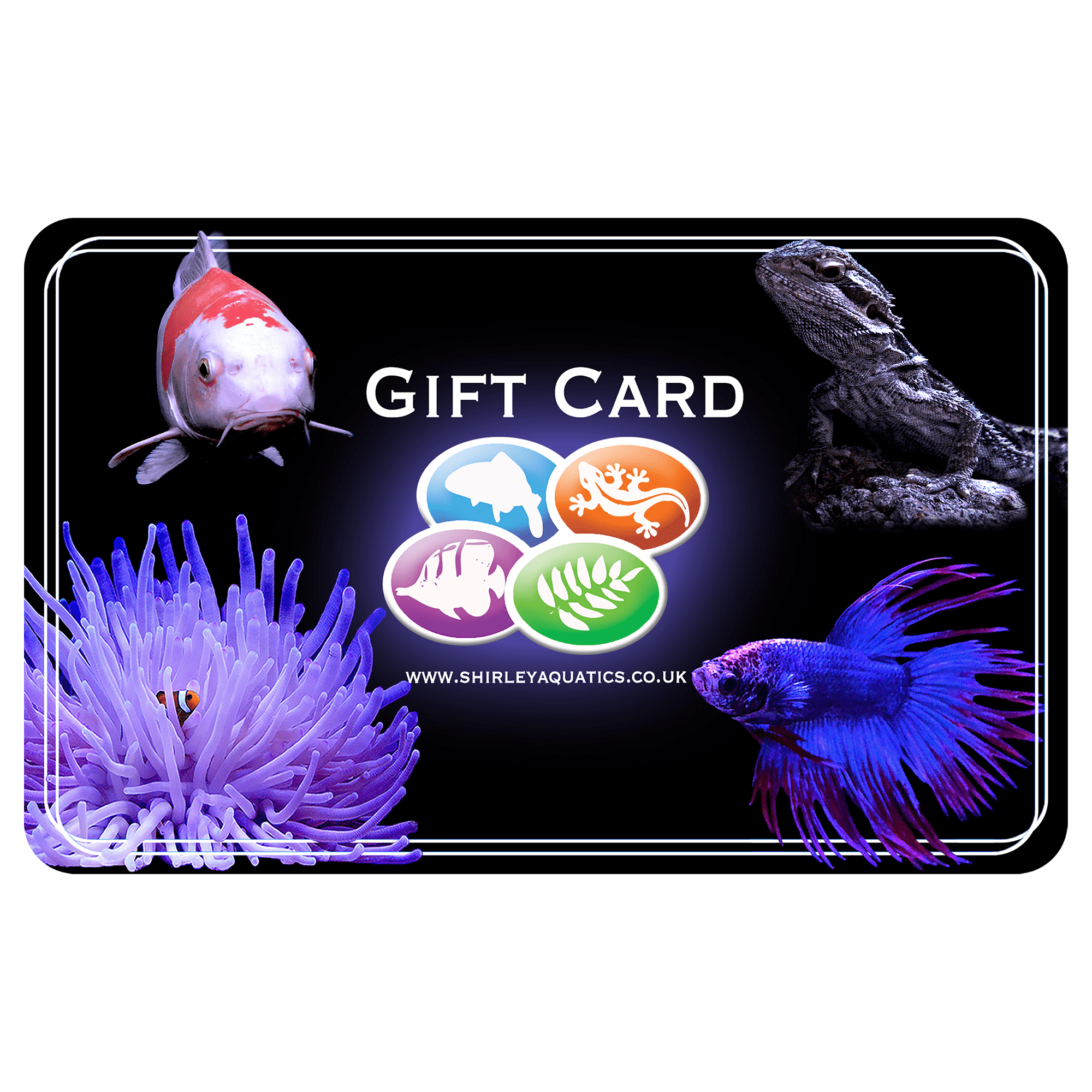 Shirley Aquatics Gift Card