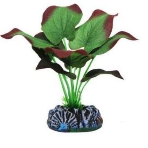 Green Silk Plant