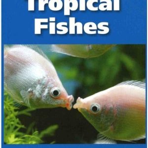 The 101 Best Tropical Fishes