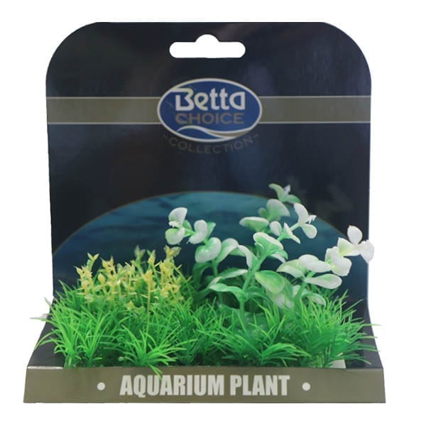 Medium Plant Mat Green & White