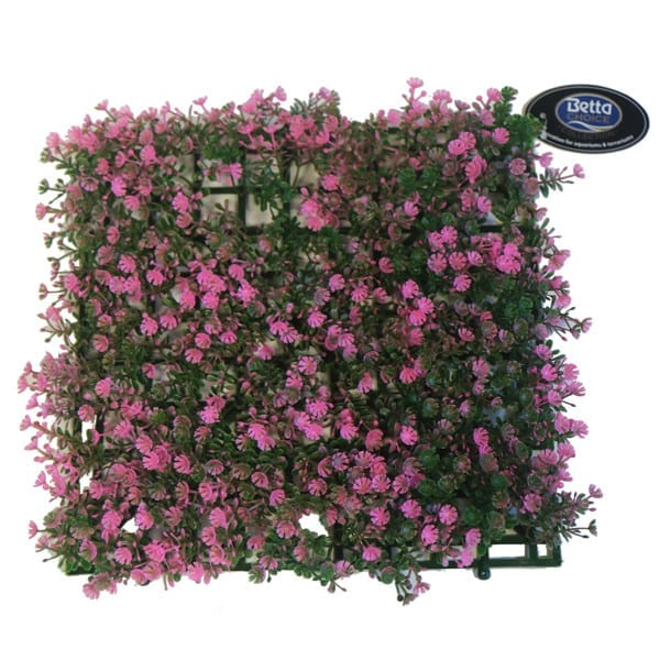 Pink Carpet 25 x 25cm