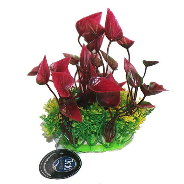 Red Plastic Plant