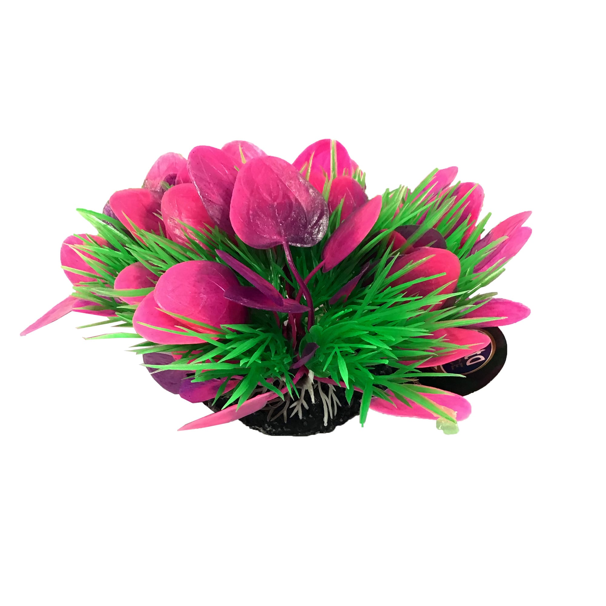 3" Pink Plastic V Plant