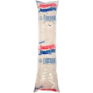 Live Baby Brineshrimp 80ml Fish Food