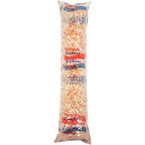 Live Daphnia 100ml Fish Food