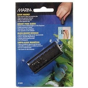 Marina Algae Magnet 1 3/4"