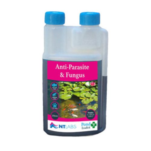 NT Labs Eradick Anti-Parasite and Fungus Treatment