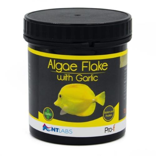 NT Labs Pro-F Algae Flake Food with Garlic