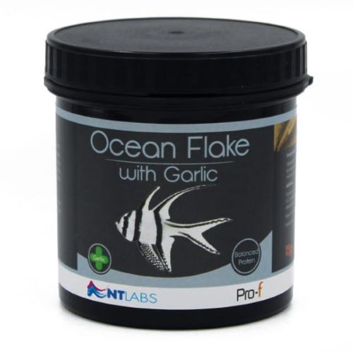 NT Labs Pro-F Ocean Flake Food with Garlic