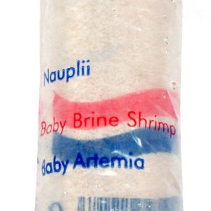 Live Baby Brineshrimp 80ml