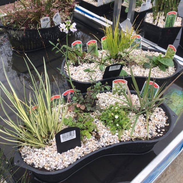 8 Litre Contour Basket Marginal Mix