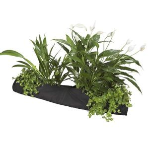 Plant Sock 10 x 80cm