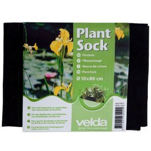 Plant Sock 10 x 80cm