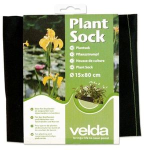 Plant Sock 15 x 80cm