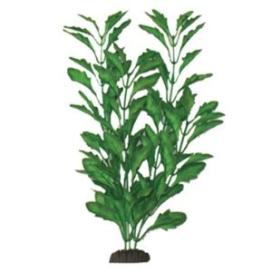 Polysperma Green Aquarium Silk Plant