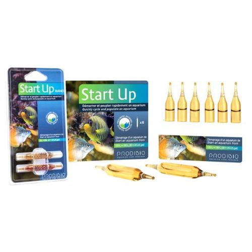Prodibio Start Up