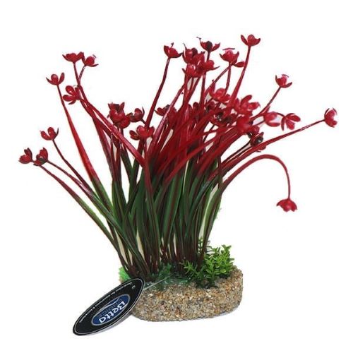 Red Flower Aquarium Plant with Wide Sand Base