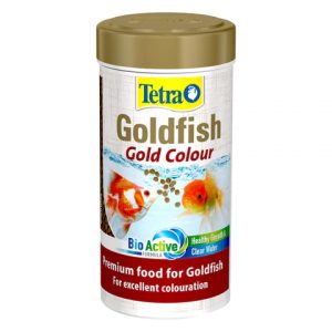 Tetra Goldfish Gold - Colour