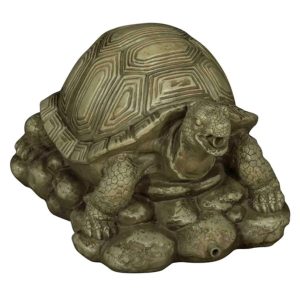 Turtle Water Spitter Feature